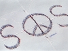 S. O. S. World