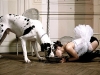 greatdane-woman-share-bowl