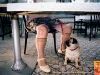 pedigree_oldladylwres