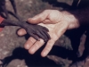 starving-hand-2
