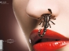 stellascorpionlowres