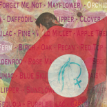 Garden of Truth: The Prostitution & Trafficking of Native Women in Minnesota